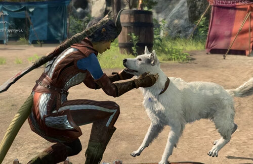 GOTY受賞のファンタジーRPG『バルダーズ・ゲート3』犬をめちゃめちゃ愛でられる神ゲーだと判明ｗｗｗｗｗ