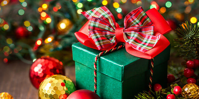 クリスマスプレゼントをめぐって勃発した兄弟喧嘩、姉をも巻き込んだ結果、血で血を洗うクリスマスの戦いに発展してしまう…