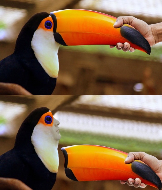 画像で笑ったらおやすみなさいｗｗｗｗｗｗｗ