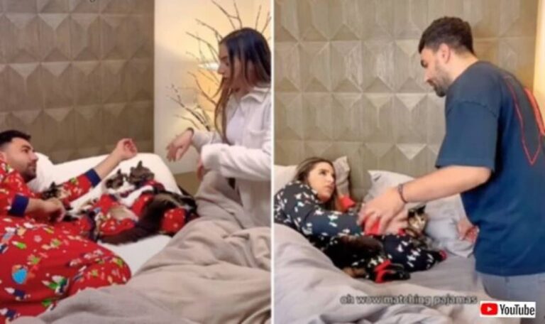 「これは仕返しなんだから！」相方にベッドと猫たちを独占された飼い主、同じことをやり返して留飲を下げる