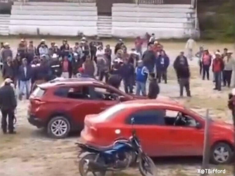 戦って死ぬか、飢えで死ぬか。メキシコの農民たちが麻薬カルテルに立ち向かう
