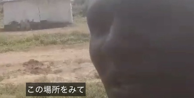 アフリカ人「自殺する予定だとDMをくれた日本人へ」