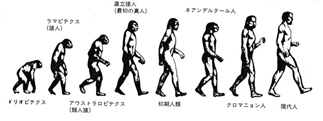 人間は猿から進化した ← じゃあどうして人間と猿の間の存在はいないの？