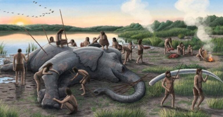 ネアンデルタール人は現在よりも2倍も大きなゾウを集団で狩っていた