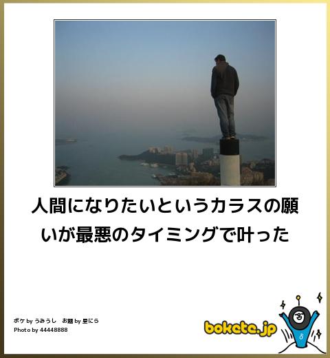 爆笑した画像を貼るのだ『過激な護身術ｗｗｗｗｗ』