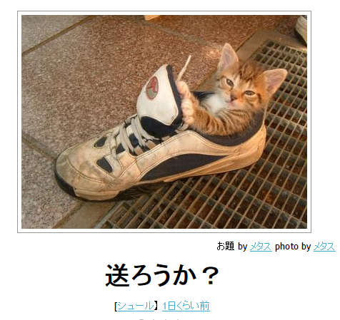 爆笑した画像を貼るのだ『インコがかっこよく見えた 』
