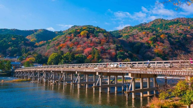 嵐山の観光客を狙った最低すぎる喫茶店！！「レンチンの音が聞こえる」「デザートはシャトレーゼ」