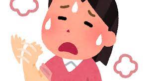 すっかり寒くなって冬が本格到来！！ かと思いきやまた20度になるらしいです