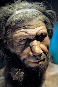 ネアンデルタール人「現人類より賢くて体力もあり完全上位互換でした」なんで滅んだの?