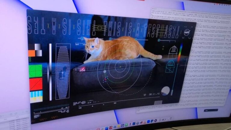 3100万km離れた宇宙から猫動画をレーザー通信で地球に送信し受信に成功（NASA）