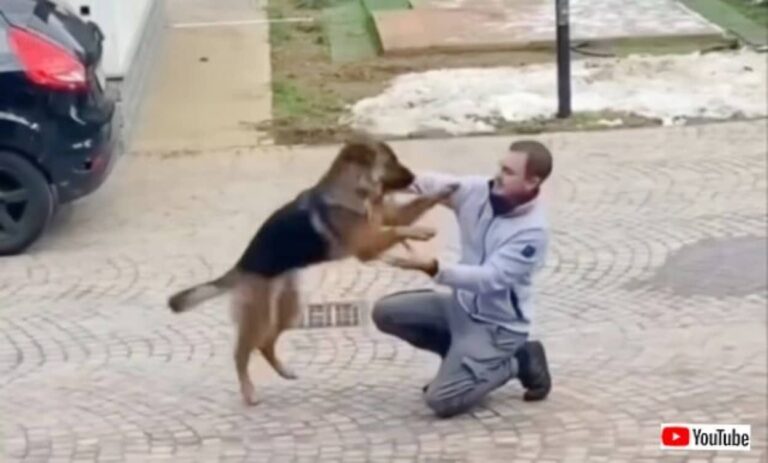 愛犬「お帰りなさい！会いたかった！」3年ぶりに帰宅したご主人を熱烈に歓迎する