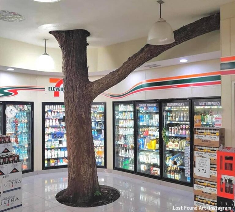 知ってた？メキシコには店内に木が生えているセブン・イレブンがある