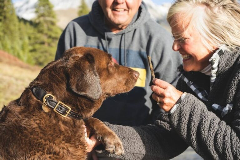 ペットを5年以上飼っている65歳以上の人は認知機能が低下しにくいという研究結果