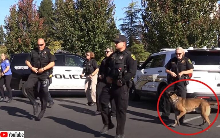主役を警察犬に持っていかれた感。ドラマ仕立て警察官たちが踊るギット・アップ・チャレンジ