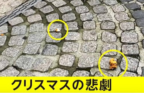 【悲報】韓国の上級国民小学生さん、高級タワマンからチキンを投げ捨て → 路上を歩いていた平民に命中しケガだらけに