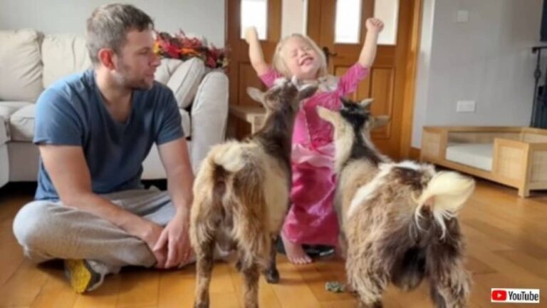 マラミュートと猫とそして山羊？自然と生き物たちに囲まれて暮らす、素敵なイギリスのカントリーライフ