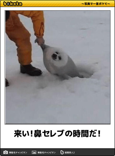 爆笑した画像を貼るのだ『だから左に傾いて見えるｗｗｗｗｗ』