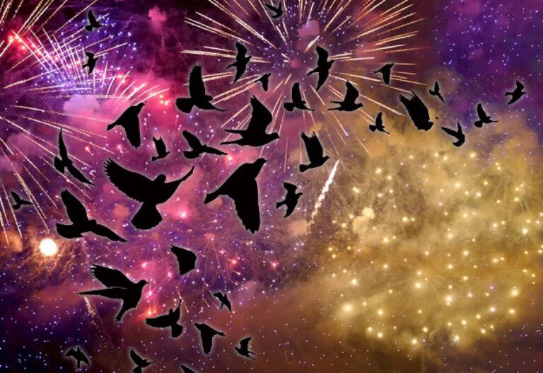 大晦日の花火は何百万羽もの鳥に深刻な影響を与える。越冬している鳥の体に大きな負担