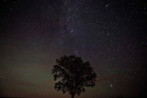 【20年ぶり】北海道で◯◯が肉眼で確認できるレベルで観測される！「夜空の下が赤く染まった」