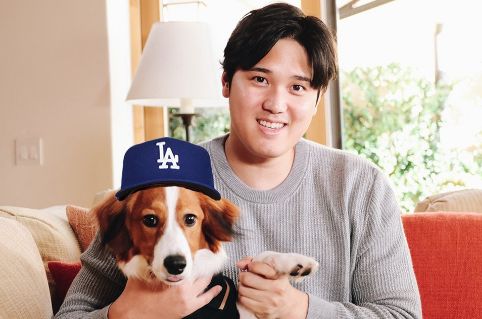 大谷翔平選手の愛犬、名前が「デコピン」だと判明ｗｗｗｗｗ