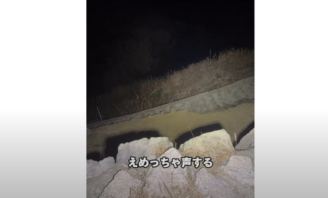 自殺の名所の東尋坊で配信していたユーチューバー「なんか崖下から声がする」 → そこには… うわぁあああああ