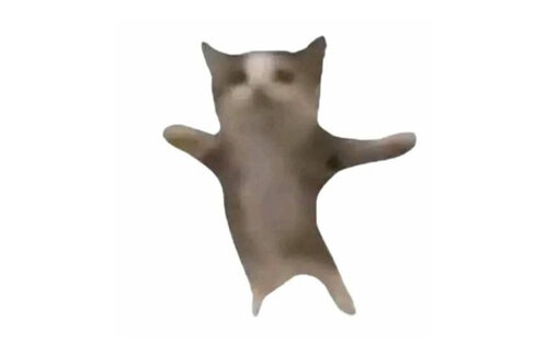 【悲報】人気の猫ミーム『Happy cat』元ネタは日本の売れ残り子猫だと判明！全くハッピーな状況ではないと話題に