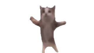 最近流行の猫ミームで面白いの教えて！