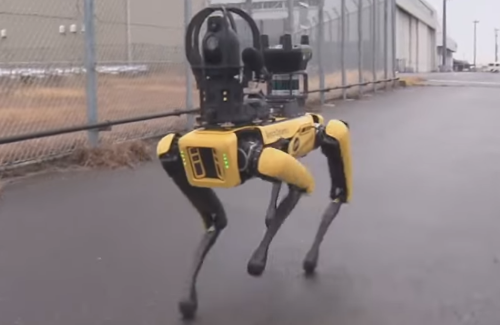 中部空港、『AI搭載ロボット犬』導入に向け実証実験へ！不審者を発見すると警告アナウンス、時速5.75kmで走り全方位の映像をリアルタイムで配信