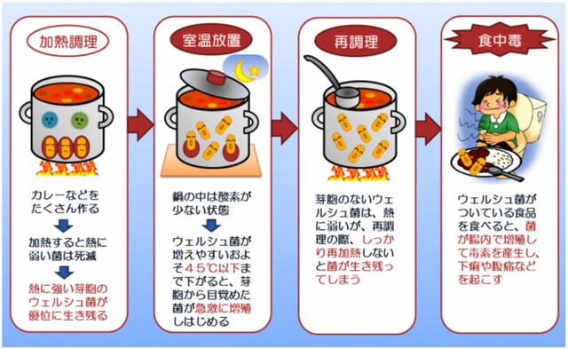 【三重】カレー弁当で55人食中毒　ウエルシュ菌検出　インド料理店「スパイス王国」営業禁止処分