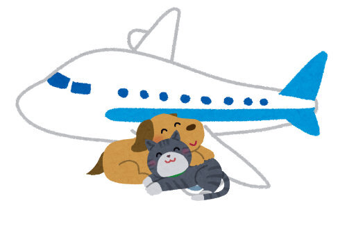 メンタリストDaiGo「ペットを貨物室に預けなければいけない日本の航空会社終わってる」