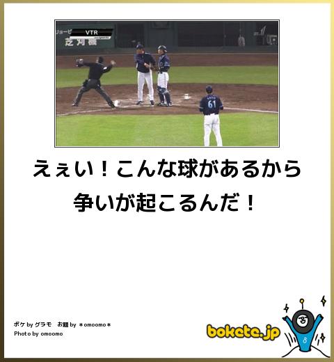 爆笑した画像を貼るのだ『ひまわりの妖精さんたちｗｗｗｗｗｗ』