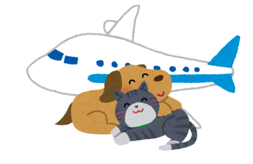 ホリエモン「ペットの機内持ち込みは正直やめてほしい」「ペット愛好家にはわからないと思うんですけど」