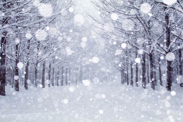 石川県、大雪の見込み・・・「家屋倒壊に十分注意が必要」
