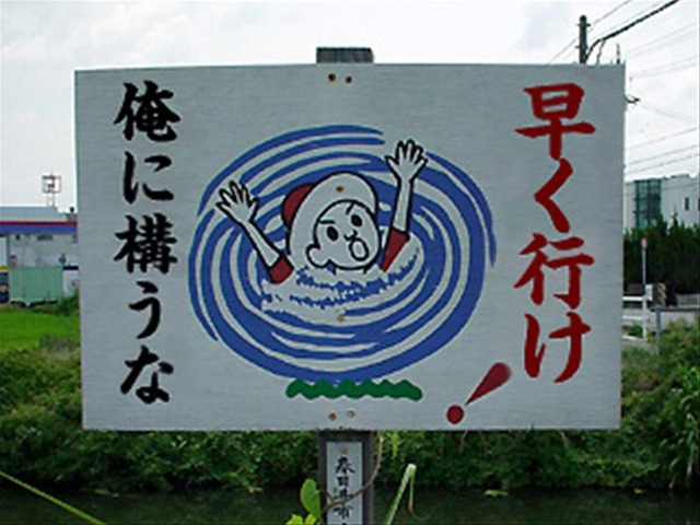 爆笑した画像を貼るのだ『正面から見たマンボウがヤバすぎる』