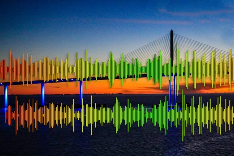 フロリダ州の湾岸に響き渡る謎の怪音の正体は発情した魚の音である可能性（要音声）