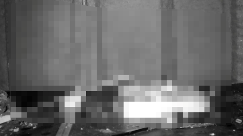 男性さん「作業場が知らない間に片付いてて怪しい。監視カメラ置いてみよう」→なんとそこには・・・