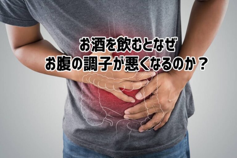 お酒を飲みすぎるとなぜお腹の調子が悪くなり、下痢や便秘になる理由