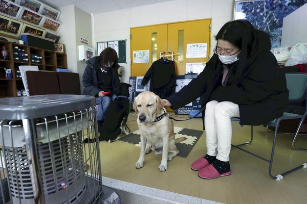 ペット同伴不可の避難所に被災者苦悩、避難所入れず車中泊「ペットは家族。ペット同伴可能な避難所を増やして欲しい」