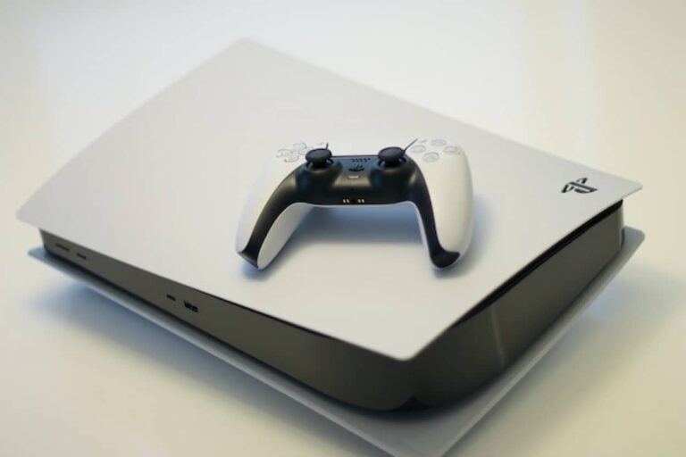 息子のPS5に4歳の甥っ子がハムを入れた。妹に新品を買うように強要した私って間違ってる？