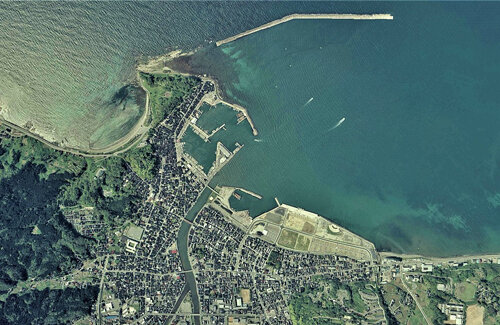 能登半島地震で約4m隆起した岩礁、『数千年に1回』レベルの現象だった！「自分たちはすごい時代を生きてる」「ここに原発あったらヤバかった」