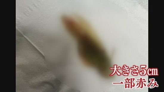 「このキムチ変な味する・・・何これ、長ネギ？」→ガチでヤバすぎる物体が混入していた・・・