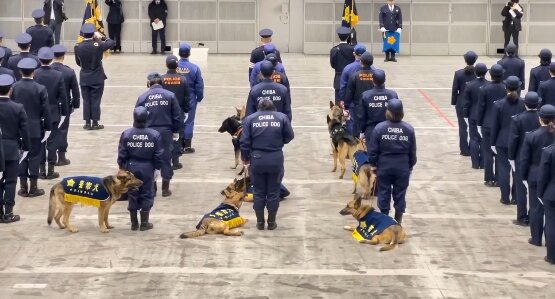 【動画】人間の式典に付き合わされて飽きちゃってる警察犬が可愛すぎ
