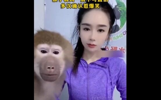 【動画】美顔フィルターで綺麗になった飼い主に驚くサルのリアクションが最高すぎると話題にｗｗｗｗｗｗ