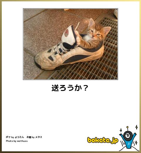 爆笑した画像を貼るのだ『ちくわパフェｗｗｗｗｗ』