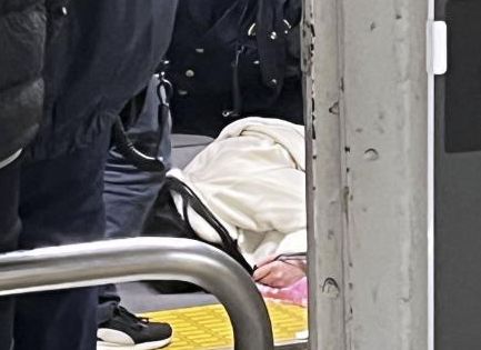 【山手線刺傷】犯人の女「幼いころから虐待を受けていて、人の優しさなんて知らなかったの」