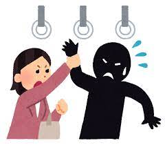 性犯罪者は死刑にしろ！！ を実際にやるとどうなるか分かりやすい解説