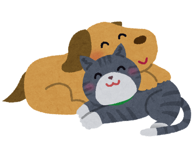 【羽田空港事故】｢ペットを飼ってる人は気軽に旅行にも行ったらいけないのか！｣と大論争に