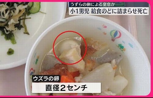 【ド正論】小学1年生が『うずらの卵』を喉につまらせて窒息死　→　現場の小5子供が考察した原因が専門家の憶測より圧倒的説得力で共感殺到！「昔から給食はコレ」