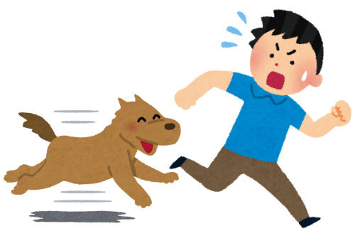 【ヤバすぎ】群馬で体長1m30cmの大型犬が大暴れ！11人が噛まれて怪我