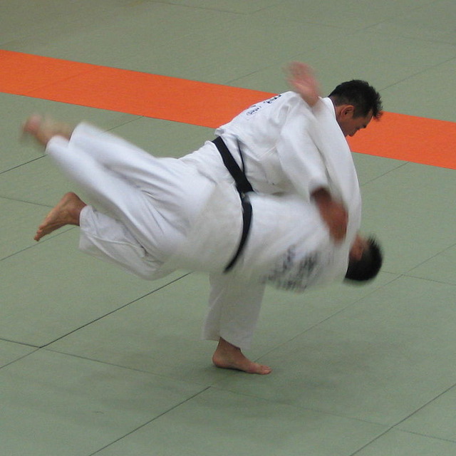 日本が世界一のスポーツって何がある？